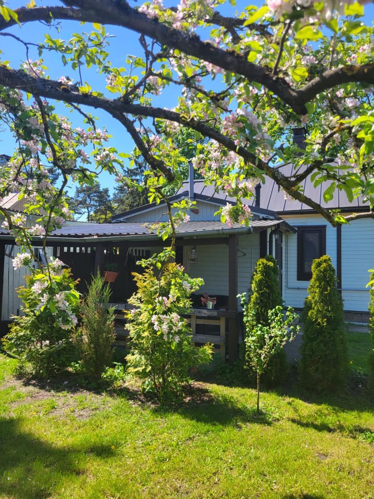 Guest House Sunny Юрмала Экстерьер фото
